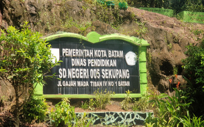 Kupu-kupu di Padang Rumput